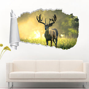 Buck 3D Torn Paper Hole Ripped Effect Decal Wall Sticker