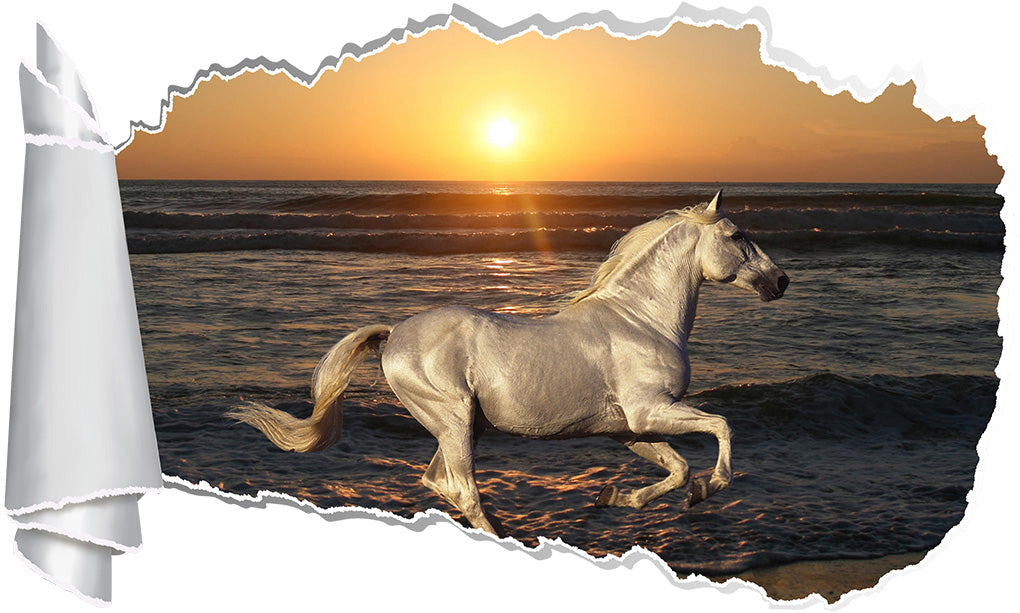 White Horse Beach Sunset 3D trou de papier déchiré autocollant mural effet