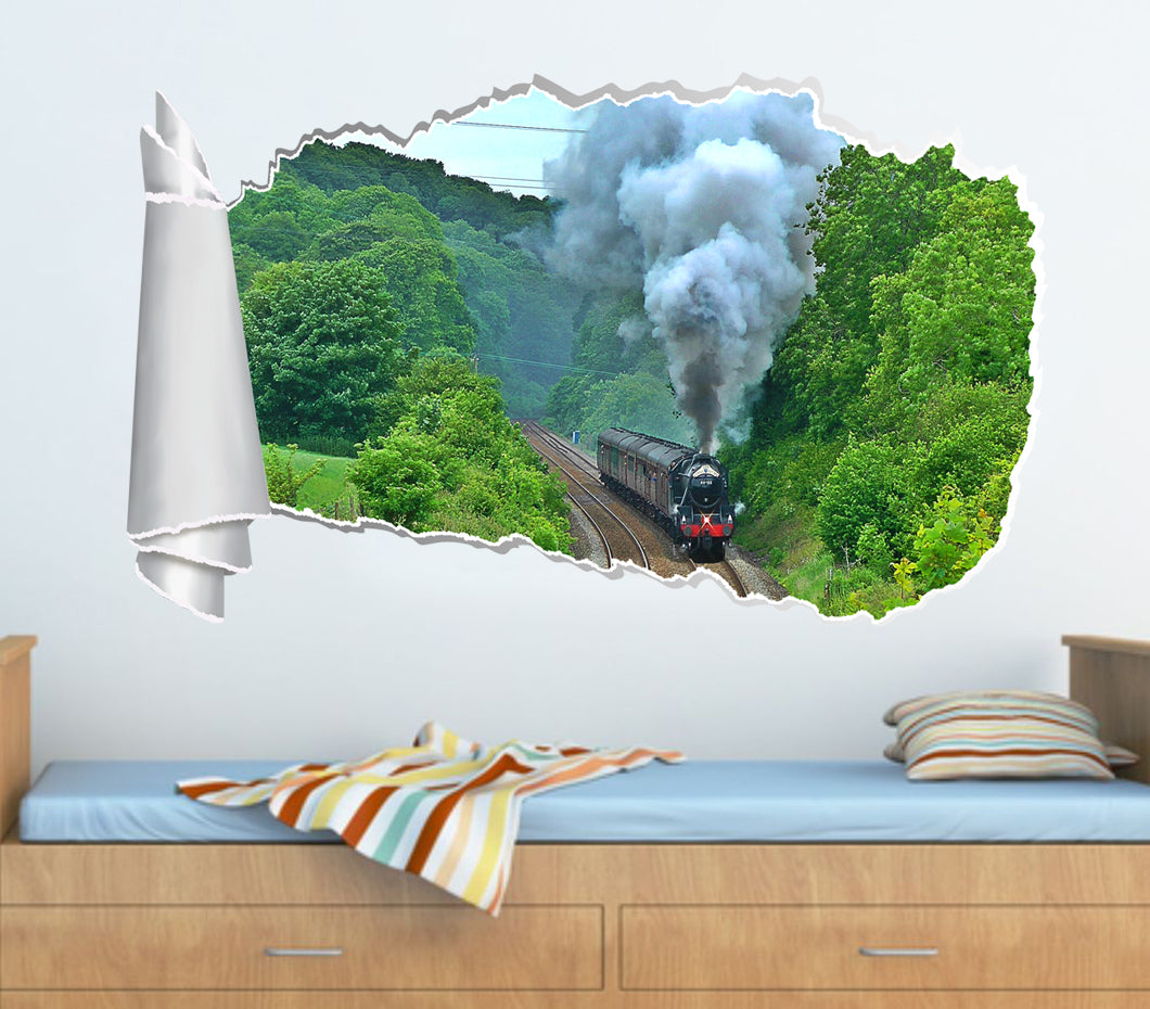Royal Duché Train 3D Torn Paper Trou Effet fouetté Épinoche à paroi décale