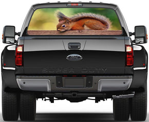 Squirrel Car Rear Window See-Through Net Decal