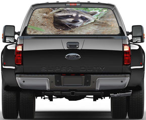 Raccoon Car Rear Window See-Through Net Decal