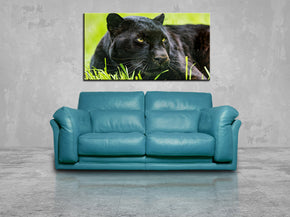 Black Panther Safari Animals Canvas Print Giclee CA1066