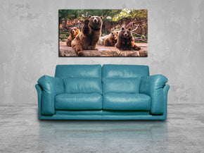 Bears Animals Canvas Print Giclee CA1067