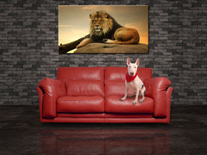 Lion Jungle Safari Animals Canvas Print Giclee