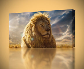 Lion Canvas Print Giclee
