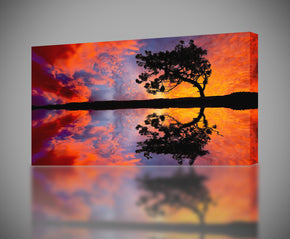 Sunset Tree Canvas Print Giclee