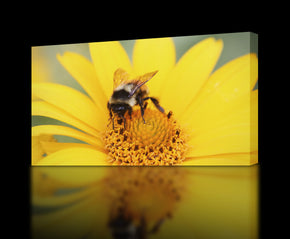 Bee Canvas Print Giclee