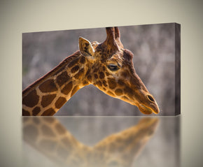 Giraffe Face Canvas Imprimer Giclee