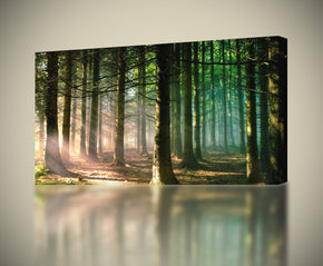 Majestic Forest Fantasy Canvas Print Giclee