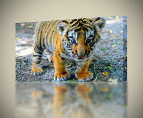 Crète Baby Tiger Canvas Print Giclee