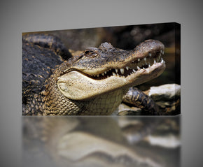 Crocodile Alligator Canvas Print Giclee