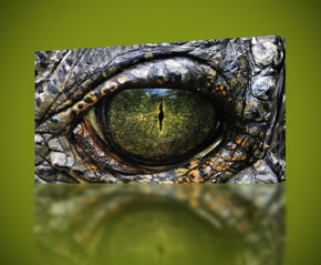 Crocodile Eye Alligator Canvas Print Giclee