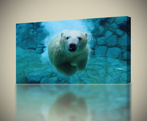 Polar Bear Diving Canvas Print Giclee