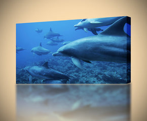Dolphins Ocean Life Canvas Print Giclee