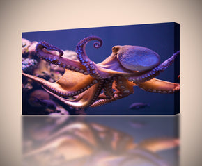 Octopus Deep Ocean Life Canvas Print Giclee