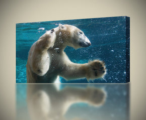 Polar Bear In Water Canvas Print Giclee