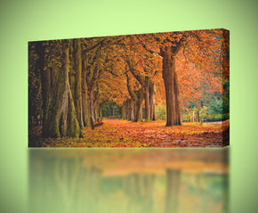 Autumn Leaves Trees Canvas Print Giclee