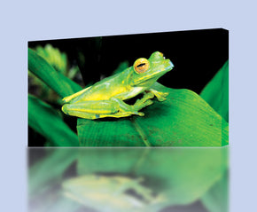 Green Frog Canvas Print Giclee