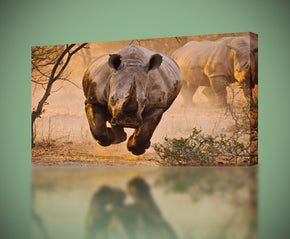 Rhinoceros Rhino Canvas Print Giclee