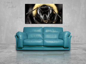 Bumblebee Canvas Print Giclee