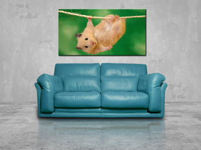 Cute Hamster Canvas Print Giclee