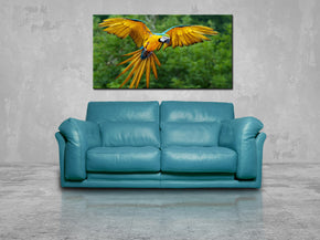 Parrot Canvas Print Giclee