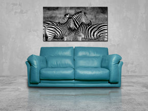 Zebras Canvas Print Giclee