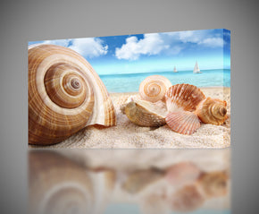 Seashells On The Beach Canvas Print Giclee