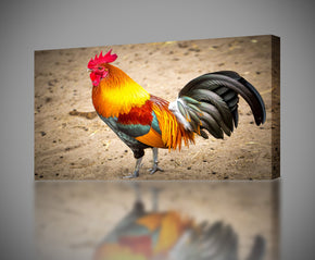 Rooster Canvas Print Giclee