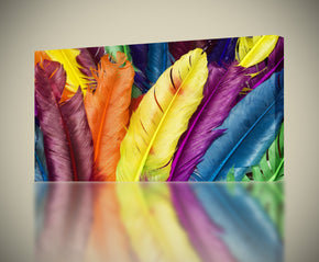 Colorful Feathers Canvas Print Giclee