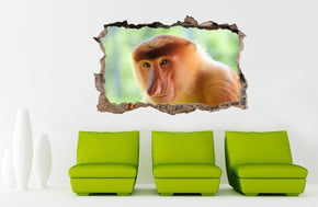 Long Nose Monkey 3D Smashed Broken Decal Wall Sticker