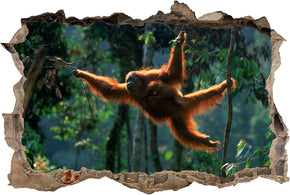 Orangutan Monkey 3D Smashed Broken Decal Wall Sticker