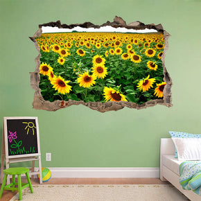 Sunflower Field 3D Smashed Broken Decal Wall Sticker