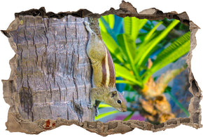Squirrel 3D Smashed Broken Decal Wall Sticker