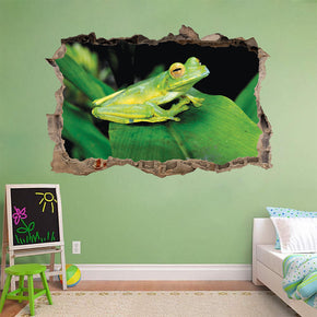 Frog 3D Smashed Broken Decal Wall Sticker J471
