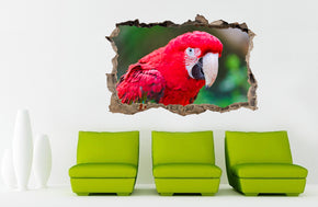 Parrot 3D Smashed Broken Decal Wall Sticker J757