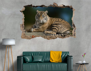 Tigers 3D Smashed Broken Decal Wall Sticker JS133