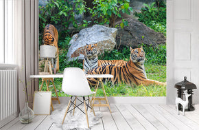 Tiger Woven Self-Adhésif Removable Wallpaper Modern Mural M194