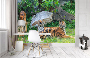 Tiger Woven Self-Adhesive Removable Wallpaper Modern Mural M194