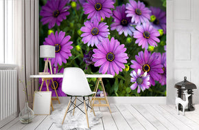 African Daisy Flower Nature Woven Self-Adhesive Removable Wallpaper Modern Mural M81