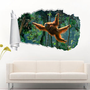 Orangutan Monkey 3D Torn Paper Hole Ripped Effect Decal Wall Sticker