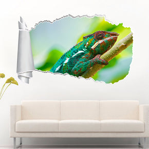 Colorful Chameleon 3D Torn Paper Hole Ripped Effect Decal Wall Sticker