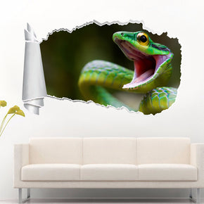 Snake 3D Torn Paper Hole Ripped Effect Decal Wall Sticker