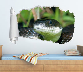 Black Mamba Snake 3D Torn Paper Hole Ripped Effect Decal Wall Sticker