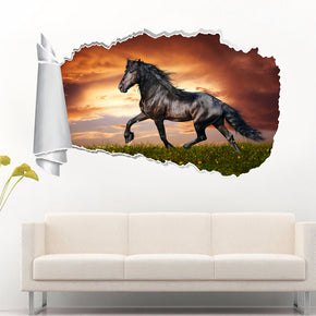 Noble Black Horse 3D Torn Paper Hole Ripped Effect Decal Wall Sticker