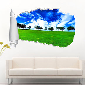 Green Meadow Blue Sky 3D Torn Paper Hole Ripped Effect Decal Wall Sticker