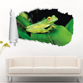 Frog 3D Torn Paper Hole Ripped Effect Decal Wall Sticker