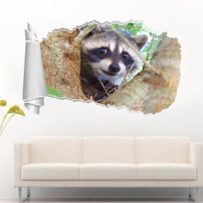 Raccoon 3D Torn Paper Hole Ripped Effect Decal Wall Sticker